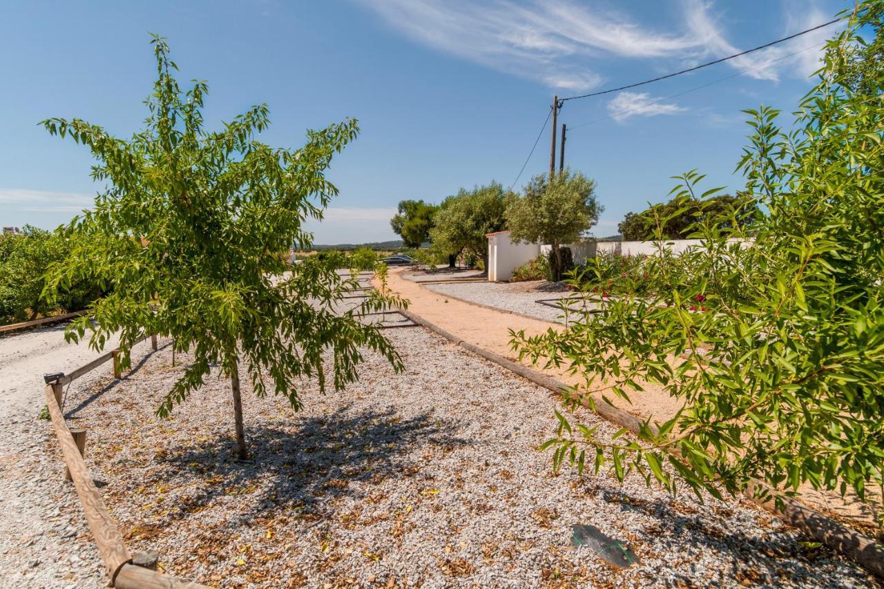 Monte Da Cabeca Gorda Bed & Breakfast Alcáçovas Екстериор снимка